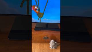 Do cats watching cartoon?