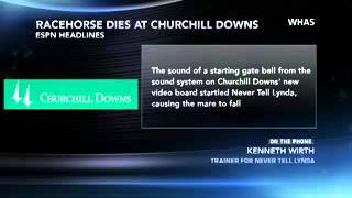 Horse Dies In Churchill Downs Accident