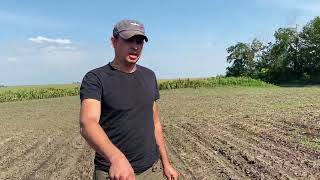 Strip-Till. Батьки і діти. Перехід на технологію Стріп-тіл. Частина 3 з 7.