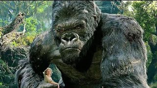 King Kong Vs T Rexes Fight