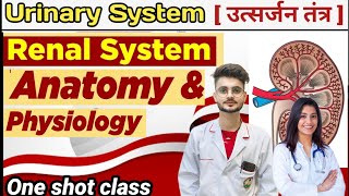 renal system, kidney , Anatomy physiology #kidney #nephron #renalsystem #scienceclub #education#neet