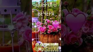 Добрый вечер 💙Уюта,нежности и теплоты💜