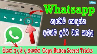 WhatsApp Copy Button Secret Tricks In Sinhala | Hidden WhatsApp Setting | Sri Network