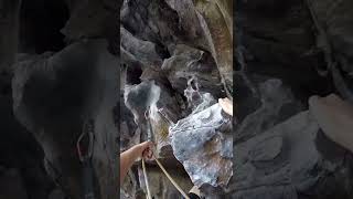 Crazy Horny full beta video, climber POV after crux. Rock climbing Mt Coolum Sunshine coast qld