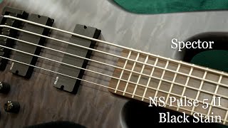 White Guitars - Spector / NS Pulse 5 II - Black Stain