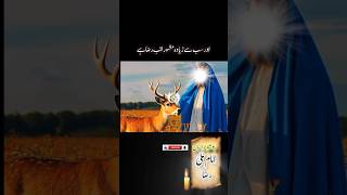 imam Ali Raza a.s | documentary مولا رضأ history #yshorts #shrots #viralshort #molaraza