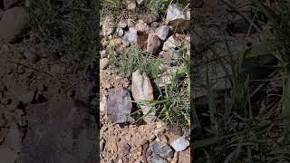 Meet the Flint Stones!  Alibates Flint Quarries National Monument.