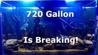 HUGE Aquarium/Tank 720 Gallon Aquarium is BREAKING!