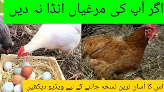 how to get egg from hen |ande na dene wali murgi ka| ilajhttps://www.youtube.com/@DoctorBirdsfarms