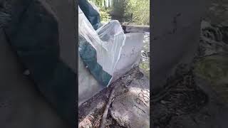 Tweaker abandoned dog and belongings? #shorts #subscribe #river #fish