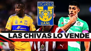 TIGRES LE HACE LA COMPRA MAS IMPORTANTE A LAS CHIVAS GRACIAS A JUAN BRUNETTA Y A SAMIR CAETANO