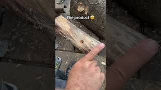 Should we drop ? 🤔 #tool #tools #wood #woodworking #viral #foryou