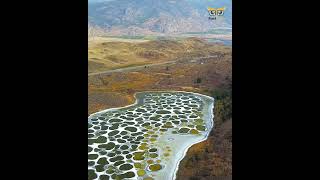 Canada की वो झील जिसमें नहाने से होंगी बीमारियां दूर ? Spotted Lake Canada