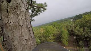 Cutting my first top | A big pine top I GoPro ( the climb 2 ) I Houston , Texas