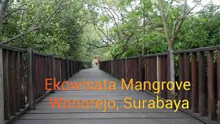 Ekowisata Mangrove Tour Wonorejo, Surabaya