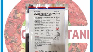 Unboxing dan Temukan Insektisida Cyperkiller 25WP Pembasmi Kutu Walet Kutu Binatang @ 30 GR