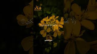 سورة الماعون الآيات من 1 إلى 7 بصوت القارئ ماهر المعيقلي #حالات واتس  #quran #shorts