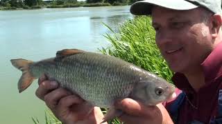 Monk Lakes Commercial Barbel with Russ Evans #monklakes #carp #matchfishing #polefishing