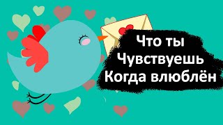 Что чувствует каждый знак зодиака, когда влюблён.