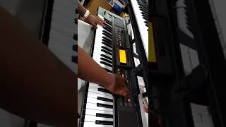 Roland E 09in