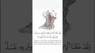 القرآن الكريم - سورة ق #quran #shorts