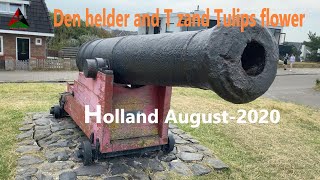 Den helder and T zand Tulips flower Holland August 2020