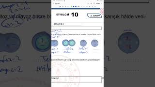 MEB in yayınladığı 2.yazılıya hazırlık 10.Sınıf Biyoloji örnek soru çözümleri -Senaryo-2 soruları