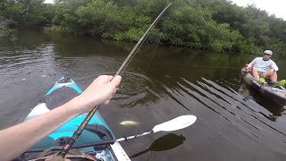 SOCIALLY DISTANT fishing in St. Petersrburg, FL for all sorts of fish