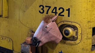 Kenny - The Trainspotting Horse (Trailer)