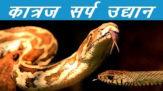 Katraj Snake Park Pune - कात्रज सर्प उद्यान पुणे | भाग १