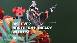 Discover Northern Hungary With Us!