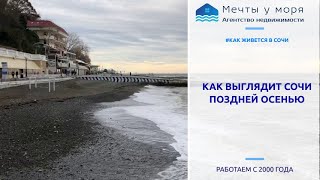 Как живется на море поздней осенью? / Переезжайте в Сочи! Агентство недвижимости «Мечты у моря»