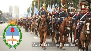 "Avenida de las Camelias" Colegio Militar de la Nacion Band [Argentinean Military March]