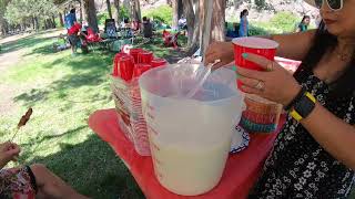 Unforgettable Moments at Annual Family Picnic