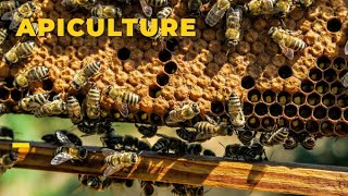 Uncovering the Amazing World of Apiculture! @QuickSupport