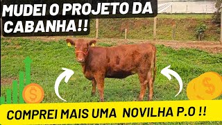 Mudei o projeto da cabanha !! Comprei mais uma novilha P.O !!