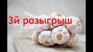 3й розыгрыш