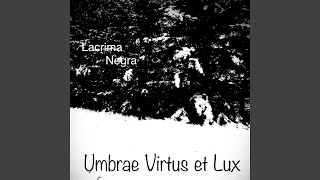 Satus Sursum Umbrae Virtus et Lux