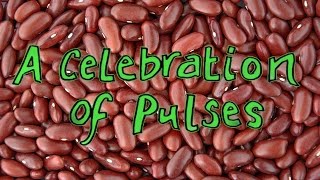 A celebration of pulses: a graphic recording