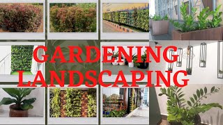 മിതമായ നിരക്കിൽ Indoor,Outdoor gardening | Vertical garden |Landscaping എന്നിവ  ചെയ്തു കൊടുക്കുന്നു