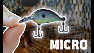 New Bite-Sized Micro Crankbaits for Panfish & Trout