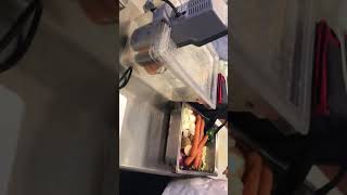 Demo of sous vide