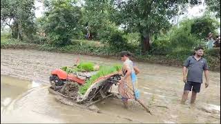 Kubota KNP - 4w Rice transplantar Demo 4 Row planting कुबोटा भात लागवड यंत्र