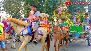 KUDA • Naik kuda • Kuda Delman Polkadot • Delman Hias Kajen • Lagu Delman Istimewa • Horse Videos