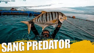 JACKPOT !! BIG GOLDEN TREVALLY  | SPEARFISHING LOMBOK