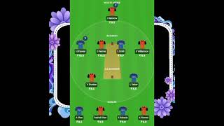 Srh vs DC Dream 11 team fantasy team. |Dc vs Srh Dream 11 team.