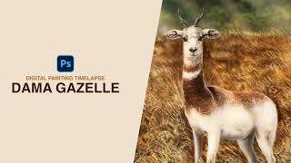 Drawing Dama Gazelle | Digital Painting Timelapse