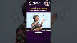 ప్రతి నెల ఎన్ని అండాలు విడుదల అవుతాయి | Tips To Conceive Naturally | Dr Suvarchala | Ziva Fertility