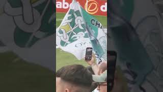 just can't get enough, Celtic Park flag day August 2023