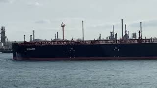 STELLATA | OIL PRODUCTS TANKER | SPOTTED EUROPORT ROTTERDAM NETHERLANDS 🛟⚓️